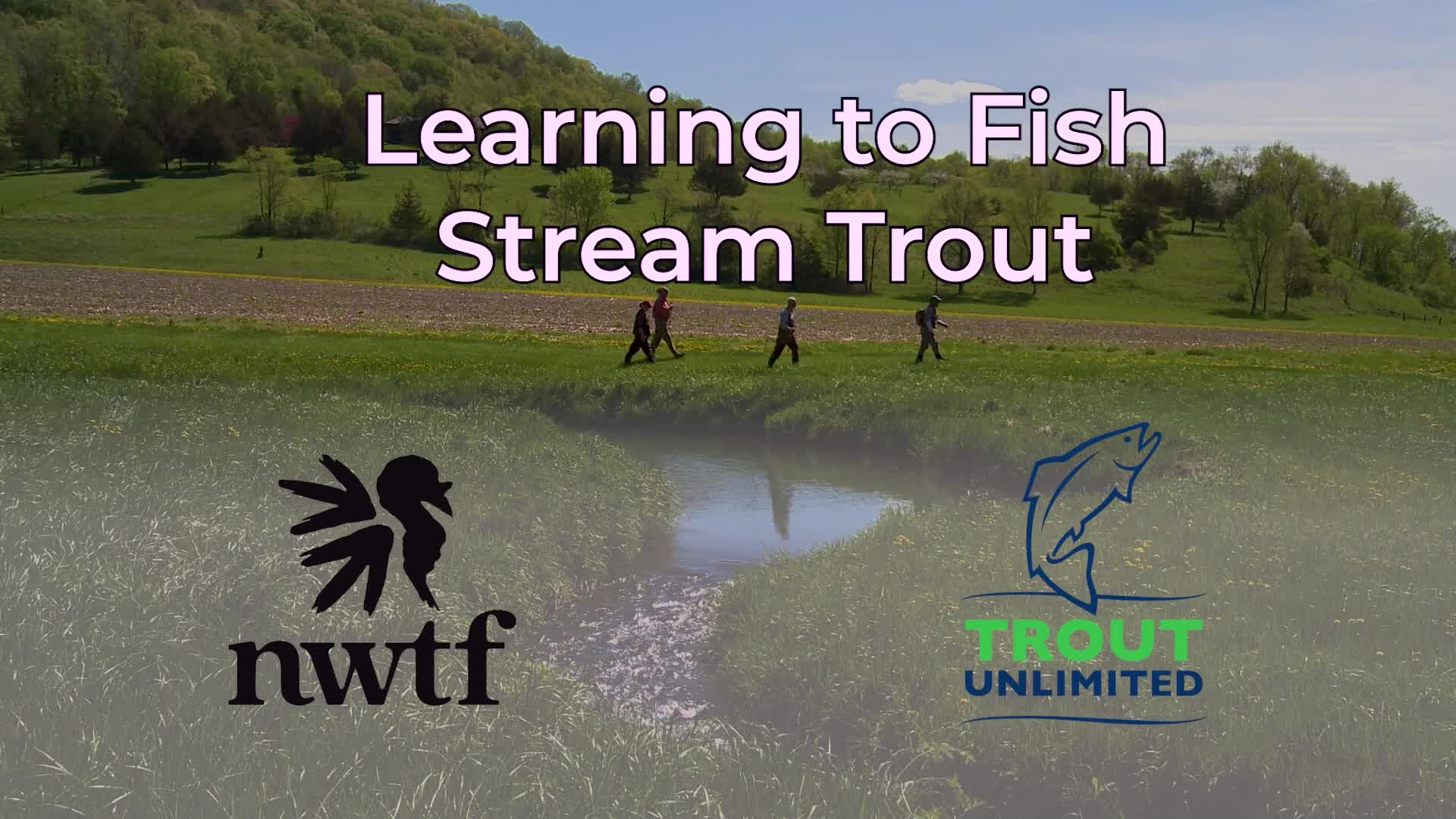 Learning to Fish Stream Trout