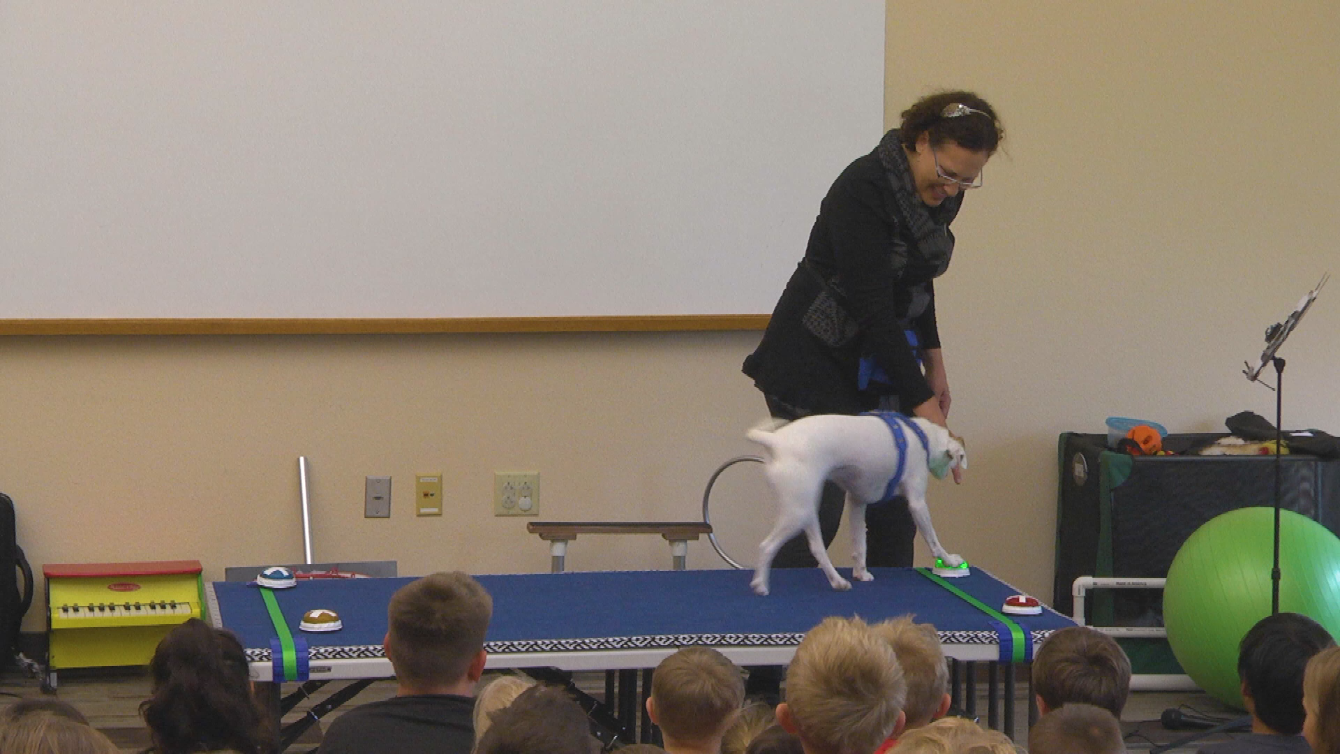 Circus Dogs Show 7-19-18